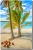 Coconutbeach1024shadow