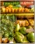 Fruitstand 1024shadow 16x13ratio