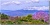 Jacarandaview1024shadow