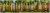 Mauisurfboardfence 1024